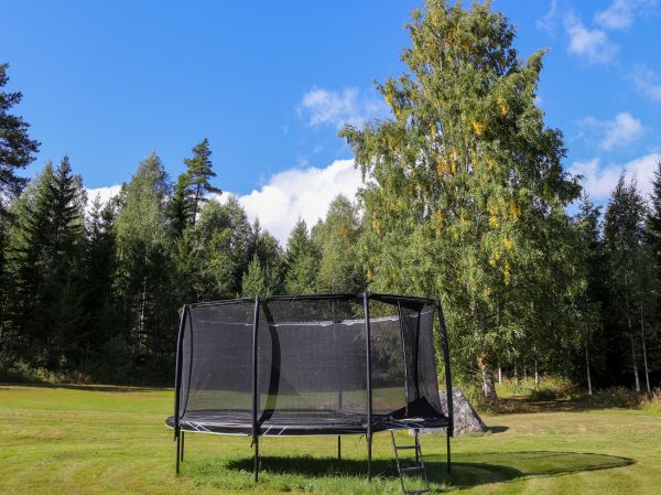 Trampoline Removal in Jupiter