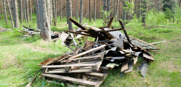 Debris Removal Service in Jupiter